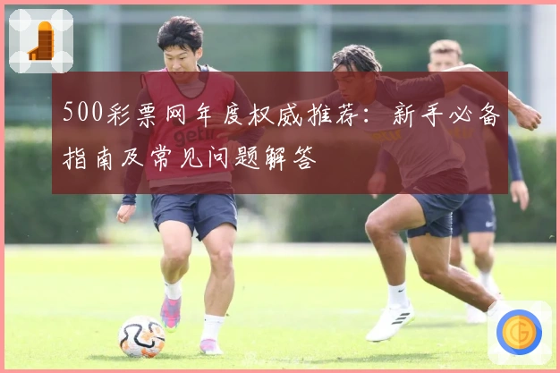 500彩票网年度权威推荐：新手必备指南及常见问题解答