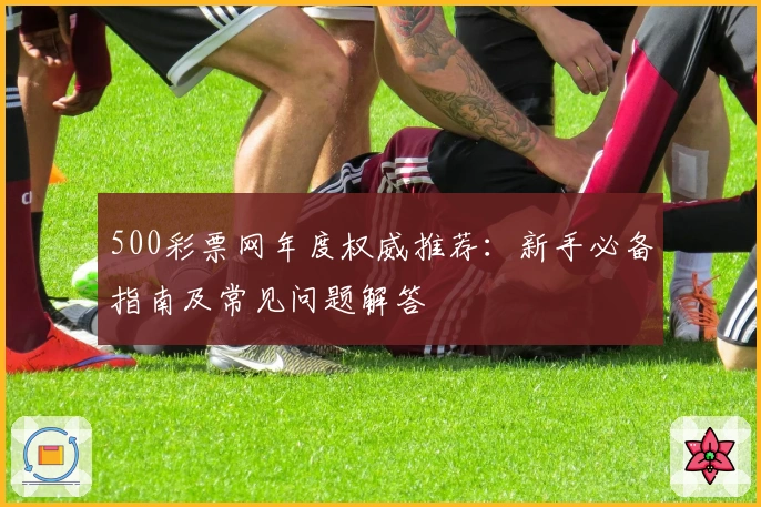 500彩票网年度权威推荐：新手必备指南及常见问题解答