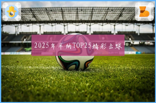 2025年辛纳TOP25精彩击球