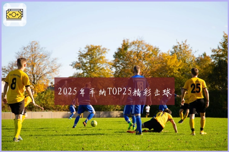 2025年辛纳TOP25精彩击球