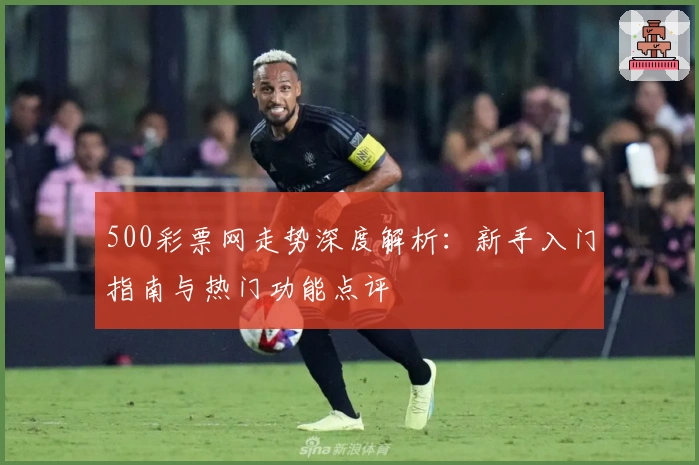 500彩票网走势深度解析：新手入门指南与热门功能点评